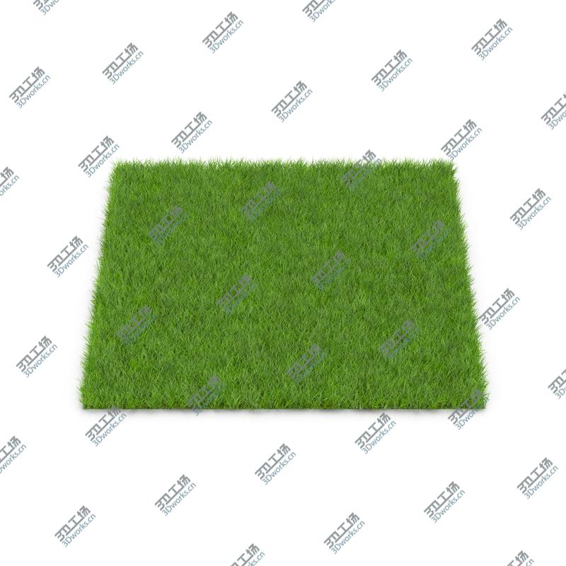 images/goods_img/2021040231/Grass Fields Collection/3.jpg